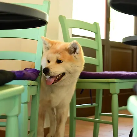 Moretti Village - Sophie Civitanova Marche